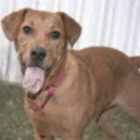 Meet your Posher, April - Picture 1 of 1